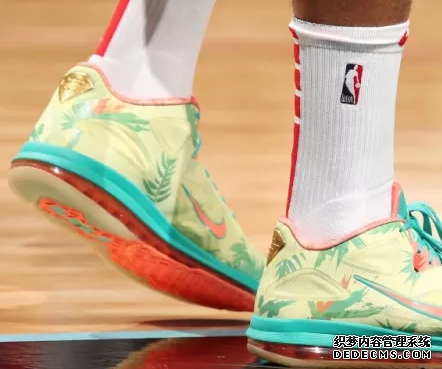 What sneakers are worn by NBA stars on December 21st List of sneakers worn by NBA stars on December 21st