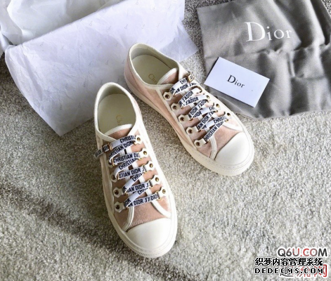 Are Dior letter embroidered canvas shoes in one size? How do 2019 dior celebrity canvas shoes look on their feet