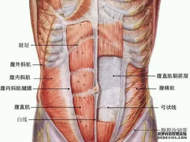 What is the AB line and how can I develop the AB line