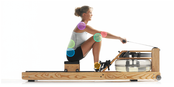 How effective is the rowing machine for weight loss? How to exercise correctly on the rowing machine